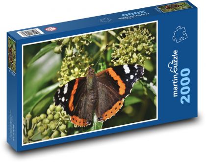 Butterfly - insects, butterfly wings - Puzzle 2000 pieces, size 90x60 cm 