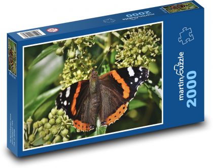 Schmetterling - Insekten, Schmetterlingsflügel - Puzzle - 2000 Teile