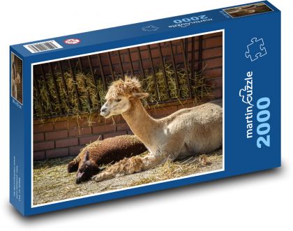 Alpaka - lama, zvíře - Puzzle 2000 dílků, rozměr 90x60 cm