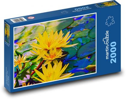 Water lily - yellow flower, pond - Puzzle 2000 pieces, size 90x60 cm 