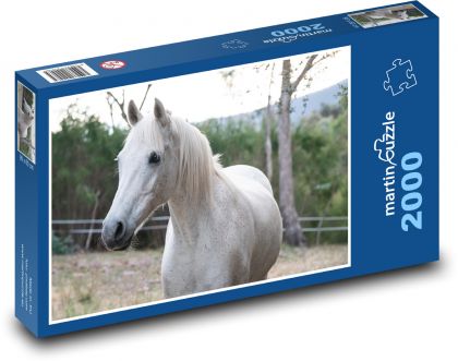 Australian Pony - White Horse - Puzzle 2000 pieces, size 90x60 cm 