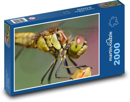 Vážka - krídla vážka, hmyz - Puzzle 2000 dielikov, rozmer 90x60 cm 