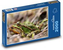 Frog - nature, amphibian Puzzle 2000 pieces - 90 x 60 cm