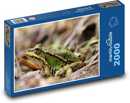 Frog - nature, amphibian - Puzzle 2000 pieces, size 90x60 cm 