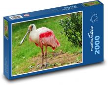 Kolpík - vodní pták, zoo Puzzle 2000 dílků - 90 x 60 cm