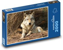 Wolf - wildes Tier, Säugetier. Puzzle 2000 Teile - 90 x 60 cm