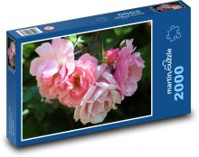 Rosenblumen Puzzle 2000 Teile - 90 x 60 cm