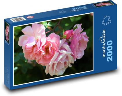 Rosenblumen - Puzzle - 2000 Teile