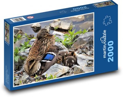 Kačica - kačica, mláďatá - Puzzle 2000 dielikov, rozmer 90x60 cm 