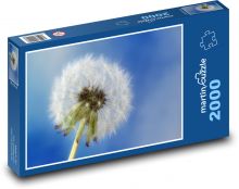 Löwenzahn - Frühling, Samen Puzzle 2000 Teile - 90 x 60 cm