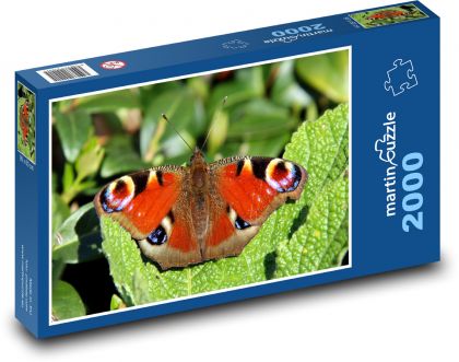 Motyl - pawie oko, motyl - Puzzle 2000 elementów, rozmiar 90x60 cm