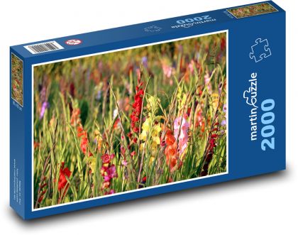Mečíky - květiny, zahrada - puzzle 2000 dílků