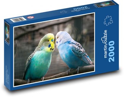 Andulka - ptáci, milovat - Puzzle 2000 dílků, rozměr 90x60 cm