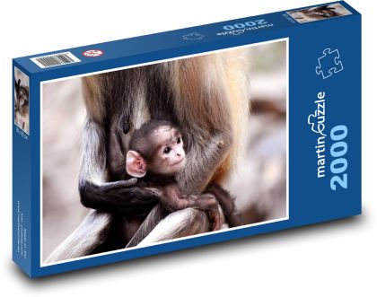 Opice - mláďa, opičiatko - Puzzle 2000 dielikov, rozmer 90x60 cm 