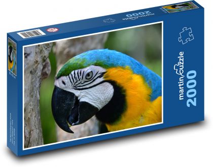 Papagei - Ara, Vogel - Puzzle - 2000 Teile