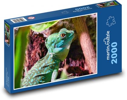 Bazilisk - jašterica, plaz - Puzzle 2000 dielikov, rozmer 90x60 cm 