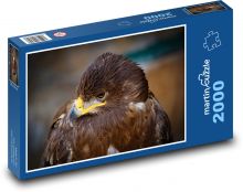 Orel - dravý pták Puzzle 2000 - 90x60 cm