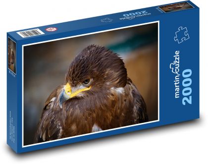 Eagle - bird of prey - Puzzle 2000 pieces, size 90x60 cm 