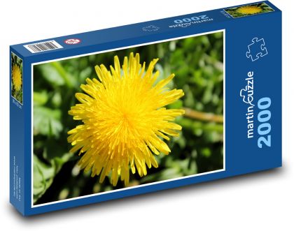 Pampeliška - žlutý květ, jaro - Puzzle 2000 dílků, rozměr 90x60 cm