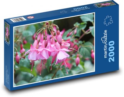 Růžová fuchsie -  zahrada, květina - Puzzle 2000 dílků, rozměr 90x60 cm