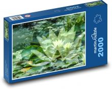 Water lilies - aquatic plants, lake Puzzle 2000 pieces - 90 x 60 cm