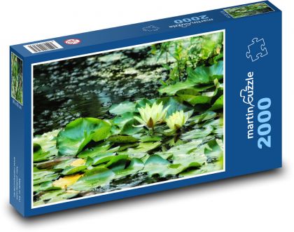 Lilie wodne żółte - rośliny wodne, przyroda - Puzzle 2000 elementów, rozmiar 90x60 cm