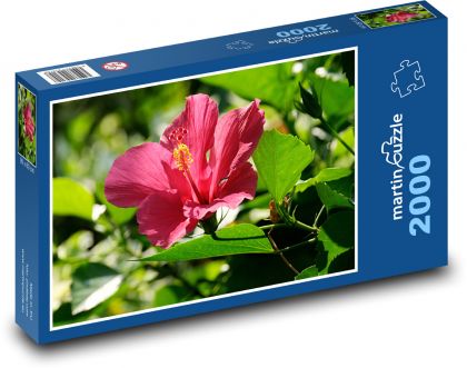 Hibiscus - red flower, garden - Puzzle 2000 pieces, size 90x60 cm 