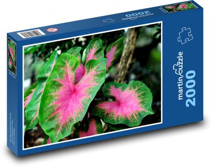 User - plant, flower - Puzzle 2000 pieces, size 90x60 cm 