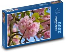 Cherry blossom - spring, park Puzzle 2000 pieces - 90 x 60 cm