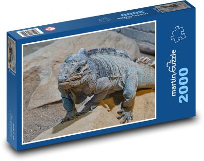 Iguana - lizard, reptile - Puzzle 2000 pieces, size 90x60 cm 