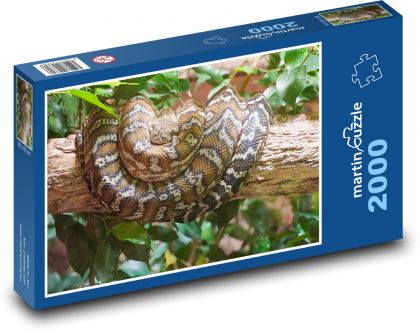 Snake - reptile, animal - Puzzle 2000 pieces, size 90x60 cm 