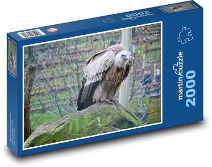 Geier - Raubvogel, Vogel - Puzzle - 2000 Teile