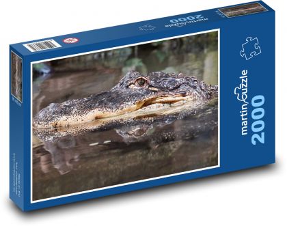 Krokodýl - plaz, voda - Puzzle 2000 dílků, rozměr 90x60 cm