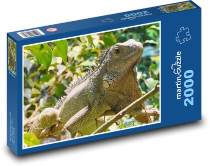 Leguán - terárium, plaz - puzzle 2000 dílků