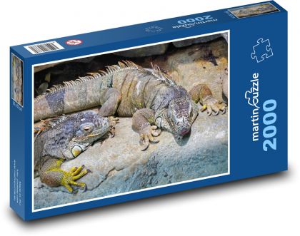 Eidechsen - Reptil, Frühling - Puzzle - 2000 Teile