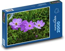 Sasanka - zahrada, květ Puzzle 2000 - 90x60 cm
