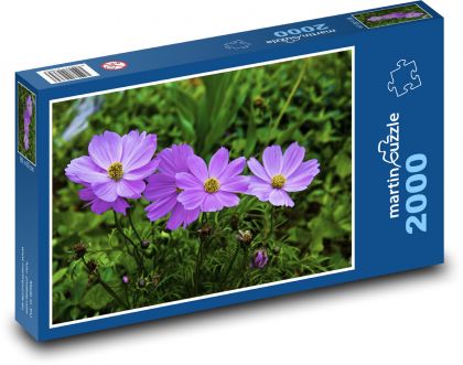Zawilec - ogród, kwiat - Puzzle 2000 elementów, rozmiar 90x60 cm