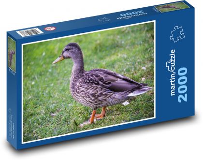 Kačica - vták - Puzzle 2000 dielikov, rozmer 90x60 cm 
