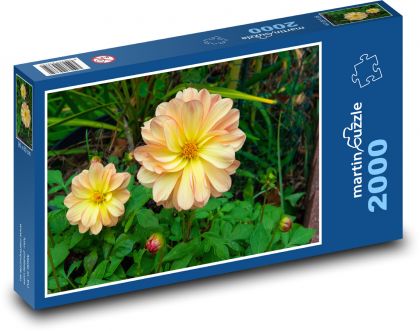 Jiřina - květ, zahrada - Puzzle 2000 dílků, rozměr 90x60 cm