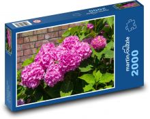 Pink hydrangeas - flower, garden Puzzle 2000 pieces - 90 x 60 cm