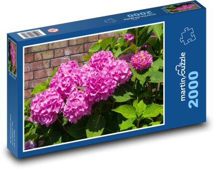 Růžové hortenzie - květ, zahrada - Puzzle 2000 dílků, rozměr 90x60 cm