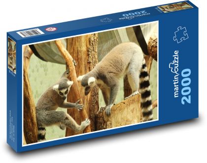 Opica - makak, ZOO - Puzzle 2000 dielikov, rozmer 90x60 cm 