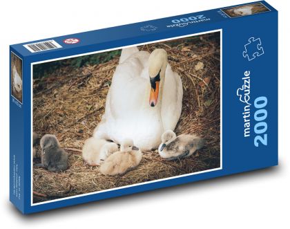 Schwan - Junge, Vogel - Puzzle - 2000 Teile