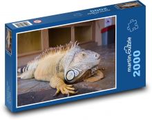 Iguana - reptile, zoo Puzzle 2000 pieces - 90 x 60 cm