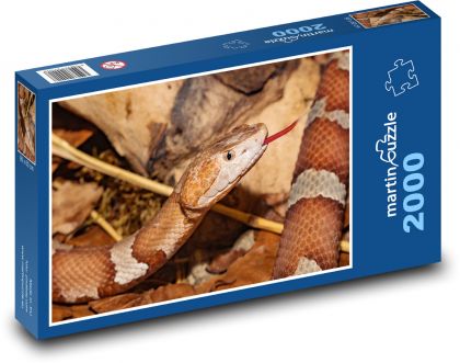 Had - zvíře, plaz - Puzzle 2000 dílků, rozměr 90x60 cm