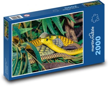 Mamba - wąż, zwierzę - Puzzle 2000 elementów, rozmiar 90x60 cm