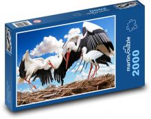 Čápi - hnízdo, pták Puzzle 2000 dílků - 90 x 60 cm