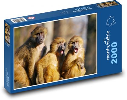Pavián - opice, zvieratá - Puzzle 2000 dielikov, rozmer 90x60 cm 