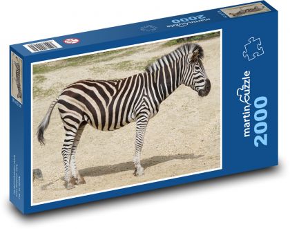 Zebra - zviera, Afrika - Puzzle 2000 dielikov, rozmer 90x60 cm 