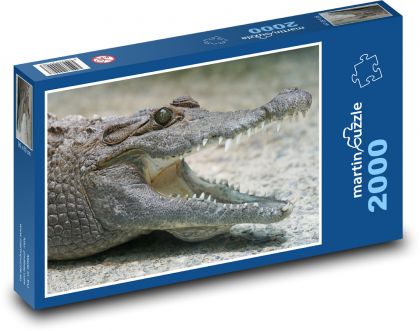 Krokodíl - plaz, zviera - Puzzle 2000 dielikov, rozmer 90x60 cm 